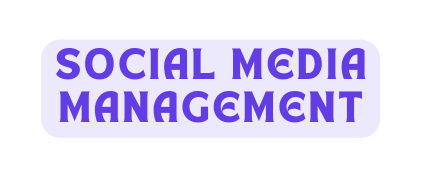 SOCIAL MEDIA MANAGEMENT